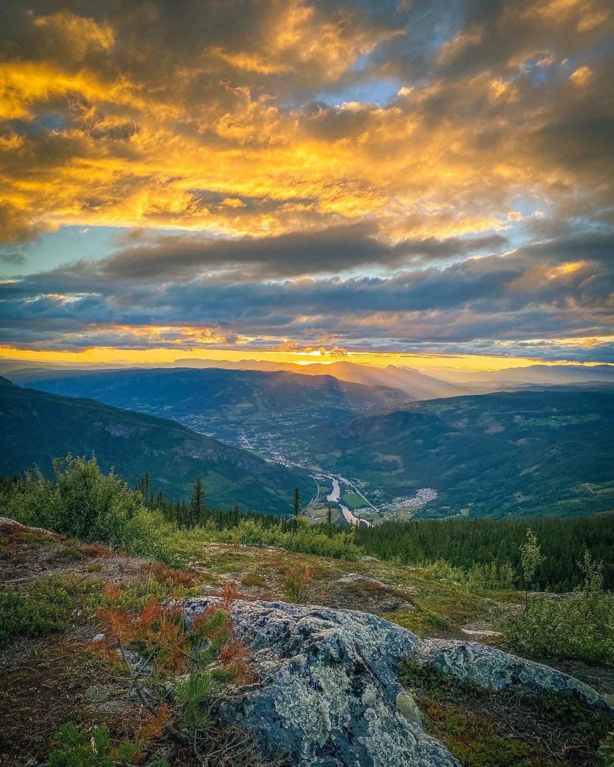 Forsiden - Campus Hallingdal